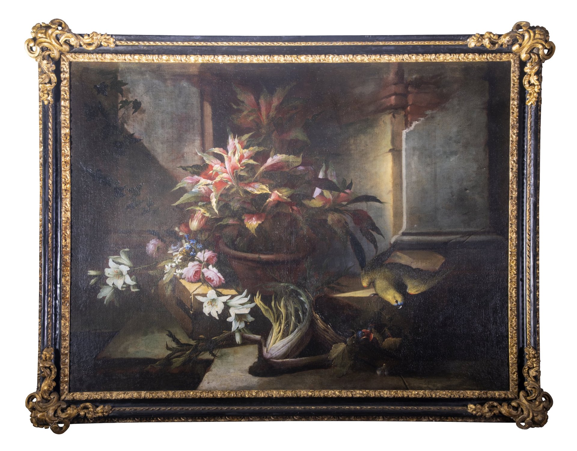 nicola-van-houbraken-natura-morta-con-pappagallo-1-1